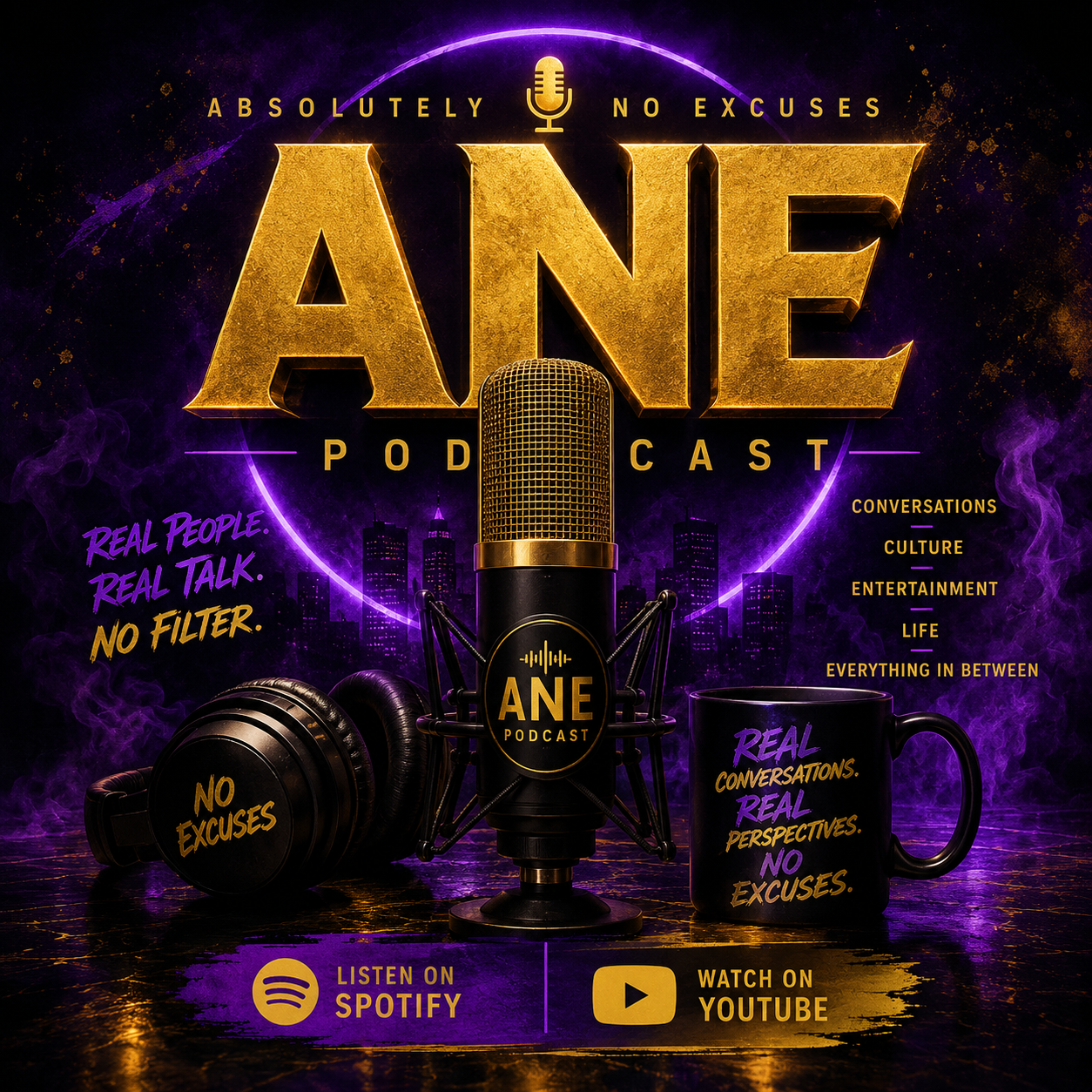 Absolutely No Excuses Podcast
